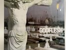 Godflesh, Songs of Love and Hate Vinyl NEU UND ORGINAL VERPACKT