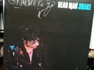 Dead Man Shake by Grandpaboy (2004)Fat Possum LP, Paul Westerberg  RARE