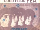 THE JERMS--GARAGE PICTURE SLEEVE ONLY-(GOOD FEELIN' YEA)--PS--PIC--SLV