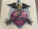 MOTLEY CRUE Without You/Livewire 12” Picture Disc Vinyl Single 1989 w/Poster