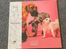 Lottery Winners Vinyl Limited Edition Clear Vinyl NEW SEALED vinyl LP