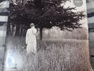 Taylor Swift Folklore Hide and Seek (Limited Edition Deluxe) (Vinyl)