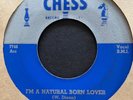 Muddy Waters 1954 Chicago Blues 45 on Chess   I'm A Natural Born Lover   Hear