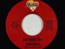 Funk Boogie/Sweet Soul 45 - Numonics - One More Try - Hodisk - VG+