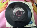 THE SKYLINERS. THIS I SWEAR/TOMORROW 7. ROCK AND ROLL.