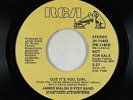 70s Soul 45 - James Walsh Gypsy Band - Cuz It's You Girl - RCA - promo