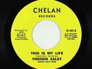 Funk 45 - Theodis Ealey - This Is My Life - Chelan - VG+ obscure