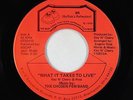 Modern Soul 45 - Chosen Few Band - What It Takes To Live - BR - VG++