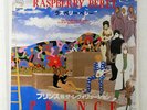 PRINCE AND THE REVOLUTION RASPBERRY BERET WARNER BROS. P1964 JAPAN VINYL 7