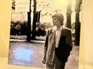 Brilliant Trees by David Sylvian (Record, 2019)