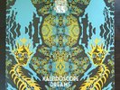 Black Magick SS Vinyl Record - Kaleidoscope Dreams