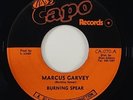 Burning Spear 