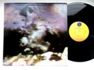 MINISTRY - The Land Of Rape And Honey  NM/NM  Vinyl LP ULTRASONIC CLEAN