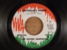 The Sound Sandwich  Apothecary Dream/Zig Zag News  Promo RARE  Psych, Garage