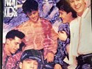 New Kids On The Block Step By Step Vinyl LP Record SEALED 1990 CBS C 45129 NKOTB