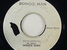 Horace Andy 