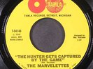 MARVELETTES: the hunter gets captured by the game TAMLA 7
