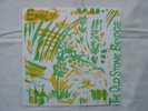 REMEMBER FUN / EMILY - Hey Hey Hate / The Old Stone Bridge 6½