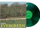 Calcutta ‎– Evergreen Lp Vinile Numerato Verde