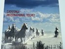 CATATONIA - INTERNATIONAL VELVET (1998) US FIRST PRESS VAPOR RECORDS WITH INSERT