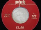 THE NEW BREED It's Love / Wasting My Time LTD  RE 45 rpm 60s GARAGE PUNK