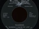 TEAKWOOD Suddenly You're My Life 45 Encore Rare 1970s Georgia Soul Funk M-