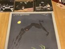 Steve Winwood Arc Of A Diver 1990 Reissue Vinyl LP Sealed (Made In Germany)
