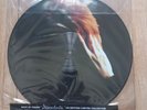 Mylene Farmer Picture Disc Désenchantée