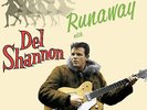 Del Shannon Runaway (Vinyl) 12