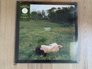 Kacey Musgraves Deeper Well Limited Edition Cover Transparent Cream Vinyl Sealed