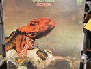 Gentle Giant - Octopus 1974 UK Press Vinyl LP (Vertigo Spaceship) SVG Playgraded