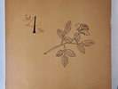 1ST PRESS Small Wood And Marshmellow Band – Just 4 You LP - PRIVATE NORTHERN...