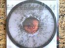 Alice in Chains Rare Edition Jar of Flies Clear Fly Vinyl LE 150 Brand New