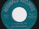 TRADEMARQUES I Can Set You Free RARE US garage 45 funk psych NORMAN PETTY HEAR