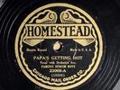 Famous Hokum Boys HOMESTEAD 23009 V+