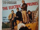 THE ELECTRIC PRUNES I Had Too Much To Dream REPRISE  1967