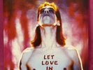 Nick Cave and the Bad Seeds - Let Love in Vinyl Lp Album