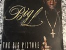 Big L The Big Picture 2LP 2000 Original Pressing