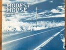 Modest Mouse - This Is A Long Drive..., X2 Vinyl LP, 1996, NM