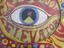 lp vinyl records The 13th Floor Elevators Limited Edition