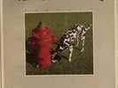 Signals by Rush (LP, 1982 Anthem, Canada, ANR-1-1038, EX)