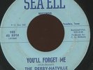 HEAR- Rare Texas Garage 45- The Derby-Hatville - You'll Forget Me- Sea Ell # 102