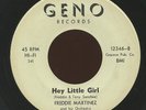 Rare Latin Rock 'n Roll 45 - Freddie Martinez - Hey Little Girl - Geno # 12346