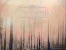 If These Trees Could Talk Red Forest (Vinyl) 12