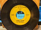 THE PARLIAMENTS LONELY ISLAND 45 YOU MAKE ME WANNA CRY FLIPP FL-45-100