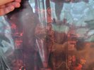 BFG Last Act of Defiance picture disk LP