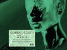 Conception Flow (Vinyl) Expanded  12