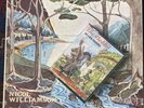 J.R.R. Tolkien The Hobbit 4 X LP Box Set Nicol Williamson Decca 1974 EX + Tape