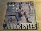 Junior Byles , Beat Down Babylon , Trojan Label