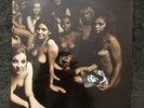 the jimi hendrix experience. electric ladyland. vinyl lp. Polydor Label.